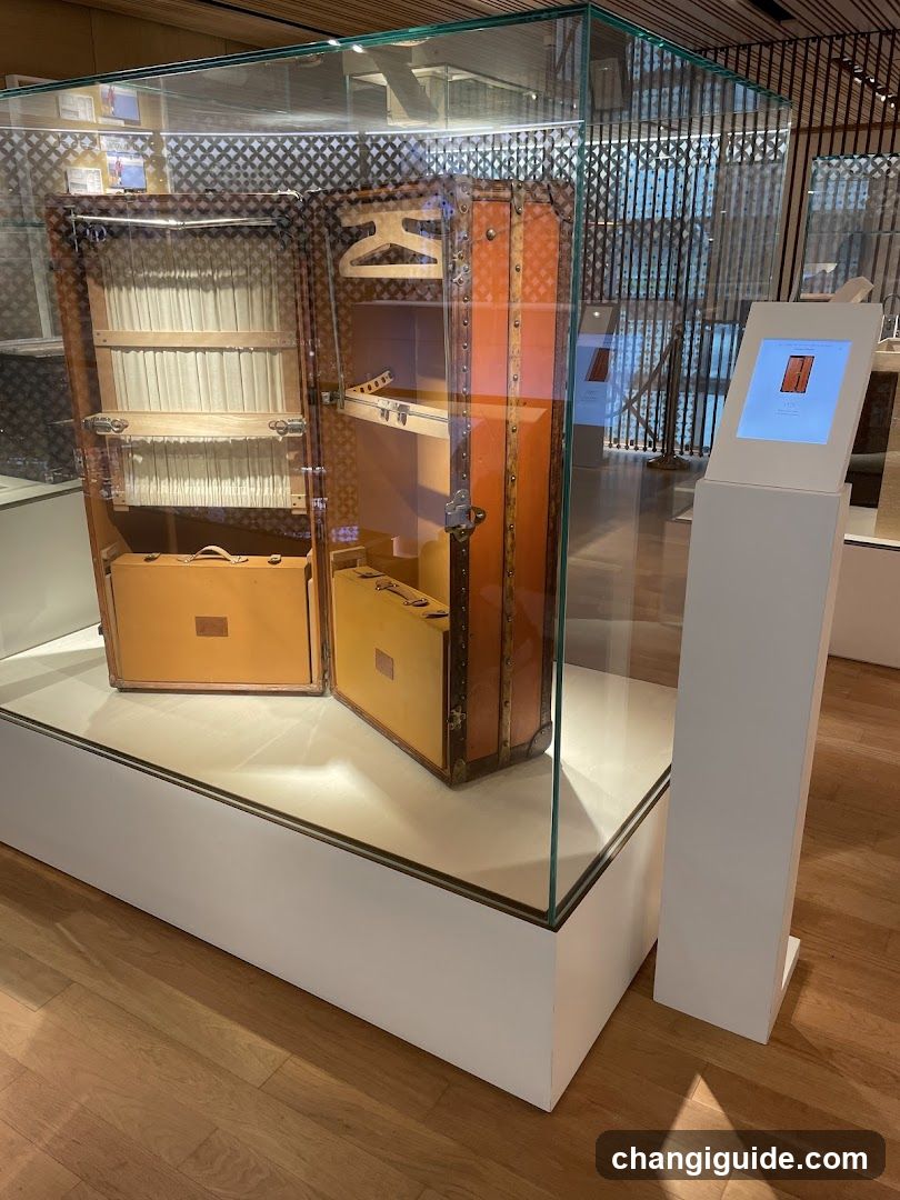 Luxury Luggage Display Case