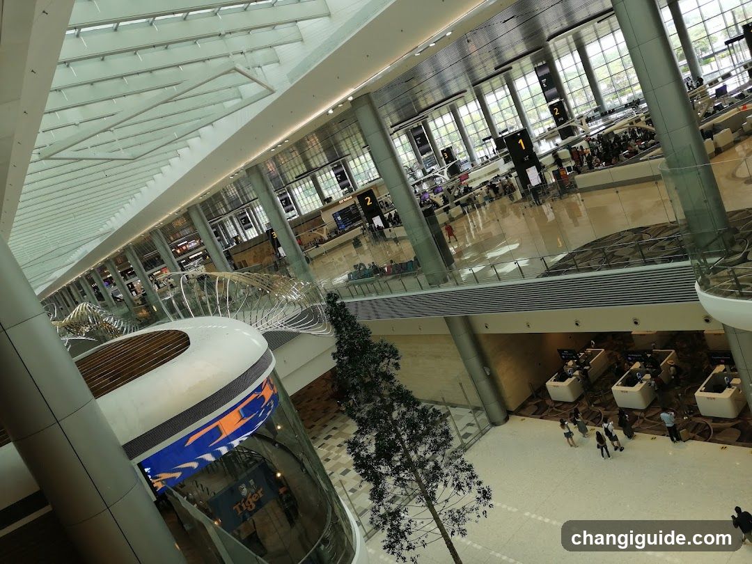 Airport Terminal Interior