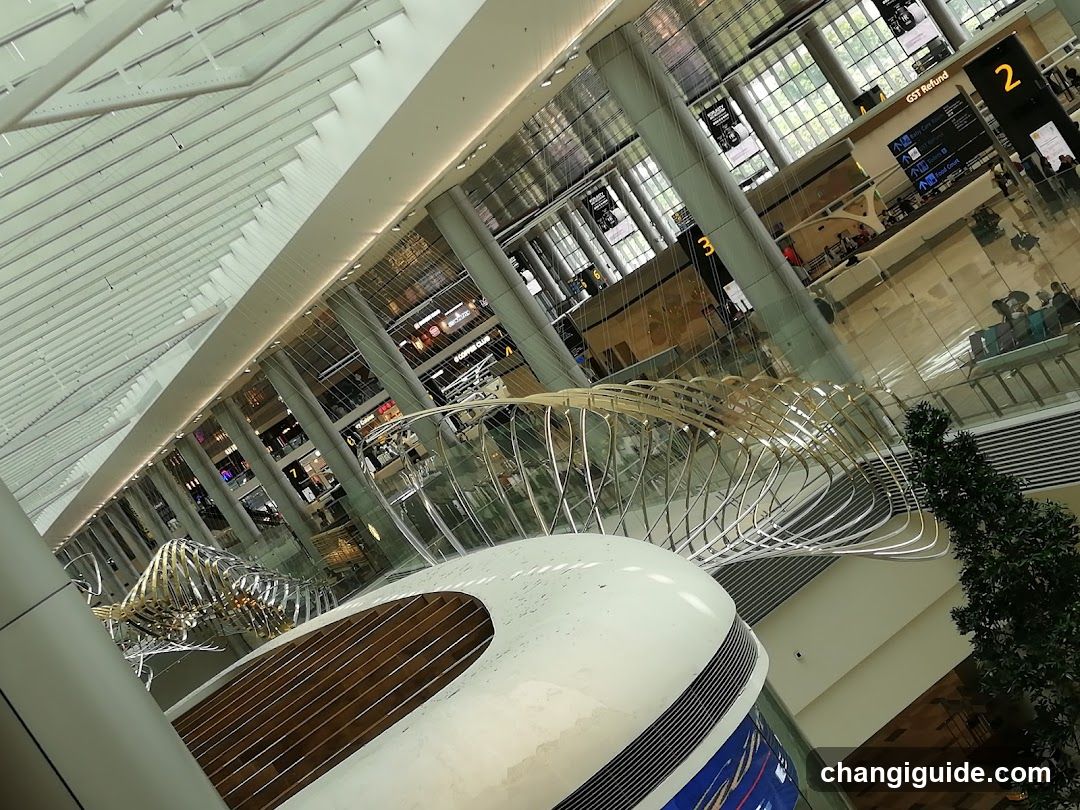 Airport Interior View