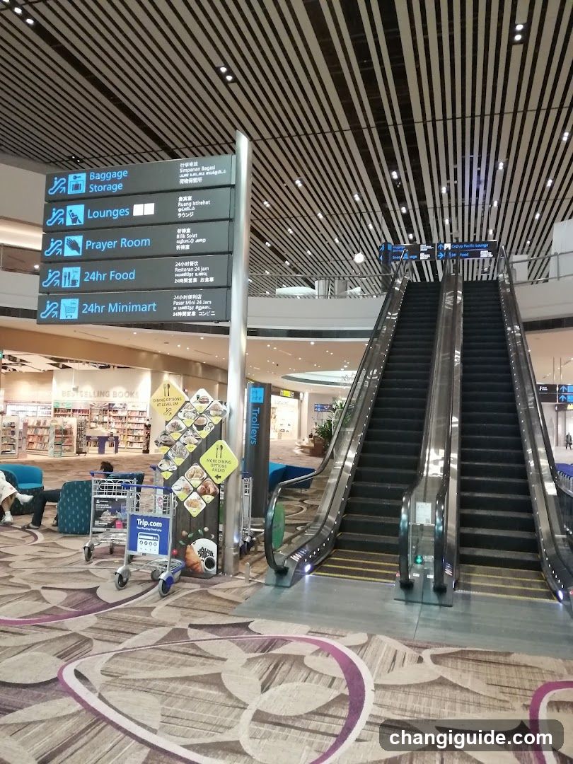 Airport Terminal Interior