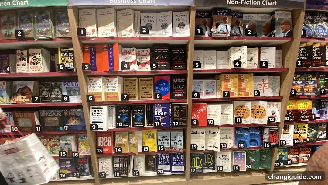 Bookstore Interior Shelf Display