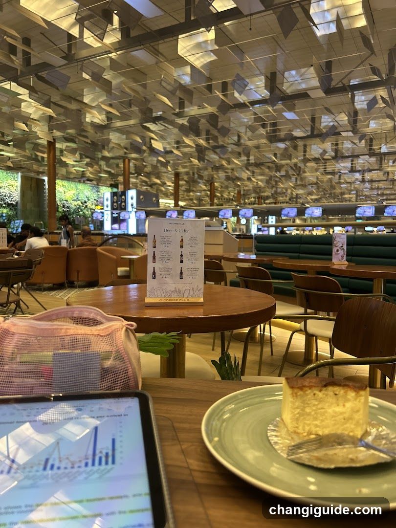 O'Coffee Club T3 Public