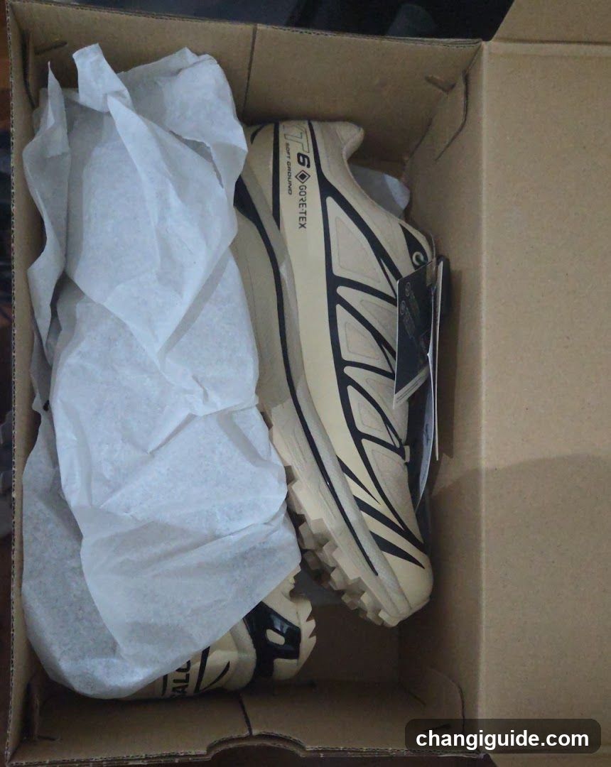 Shoe Box with Salomon Shoes