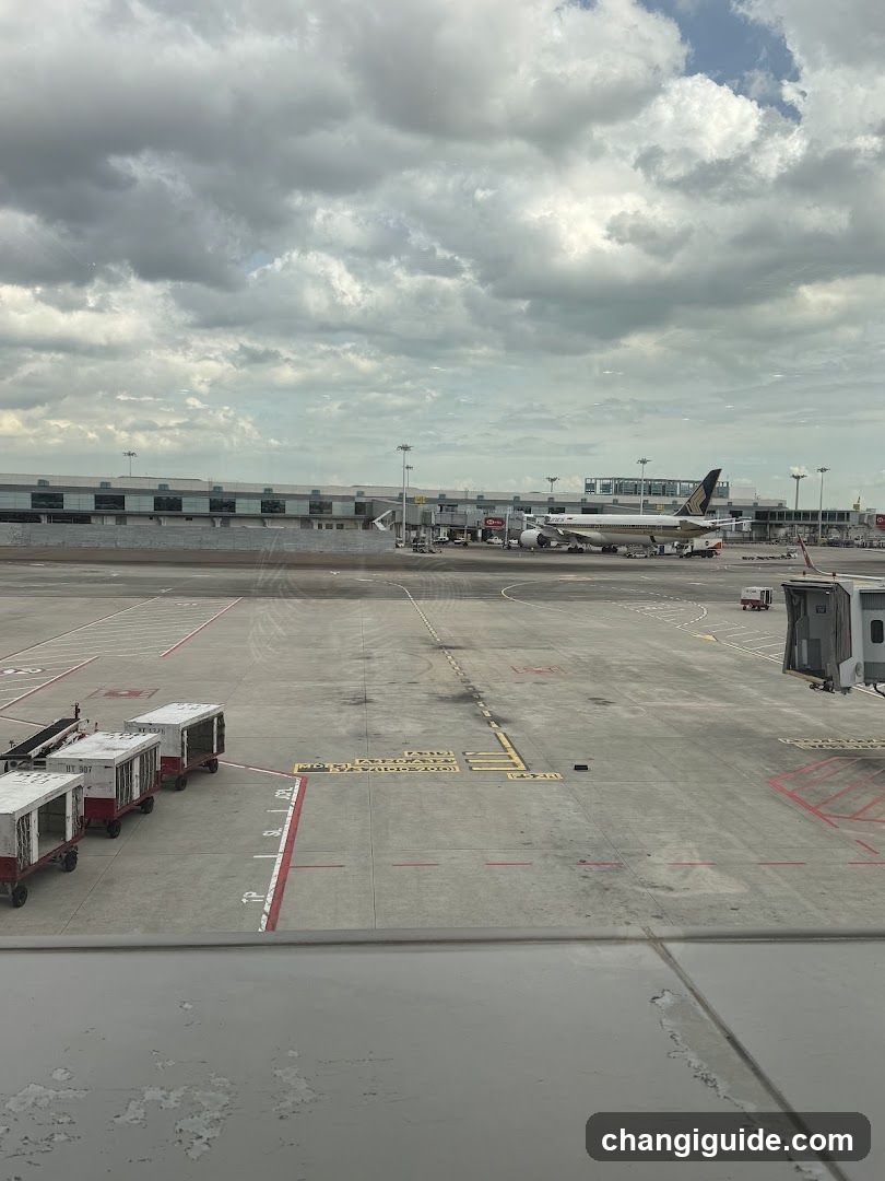 Airport Tarmac View