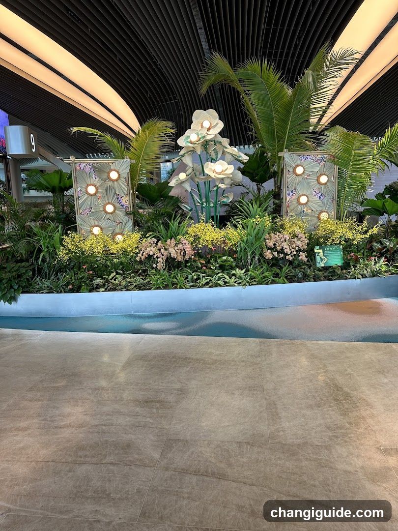 Indoor Garden Display