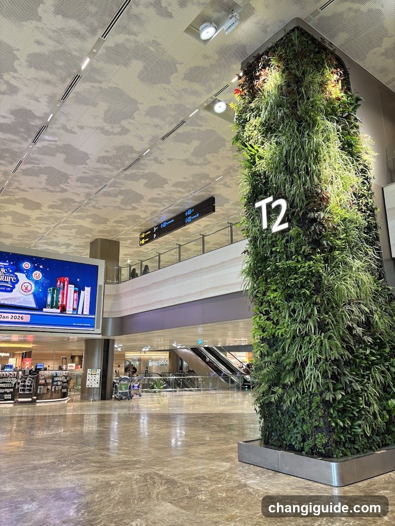 Airport Terminal Interior with Vertical Garden