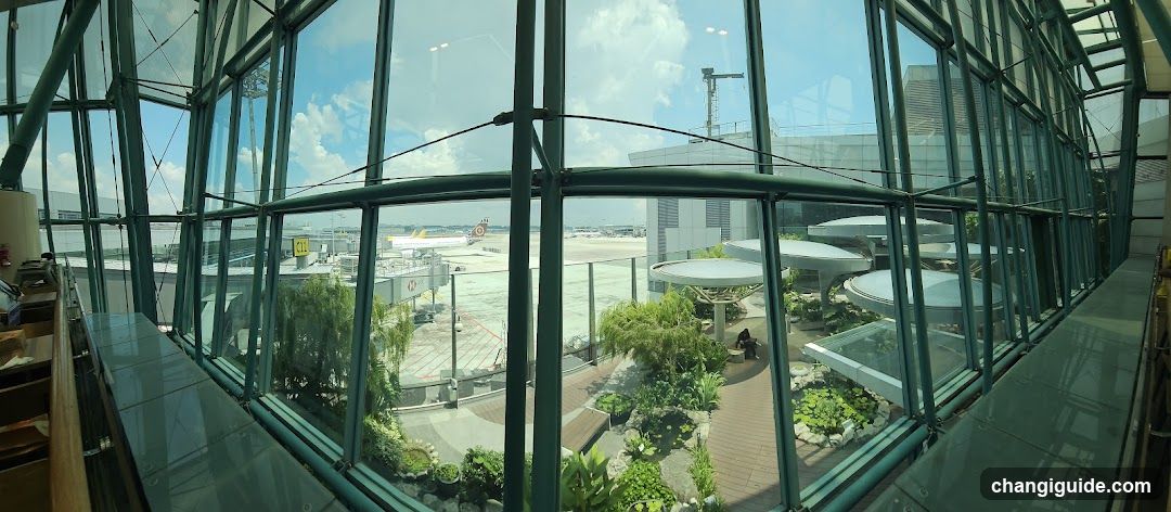 Airport Terminal View with Garden and Plane