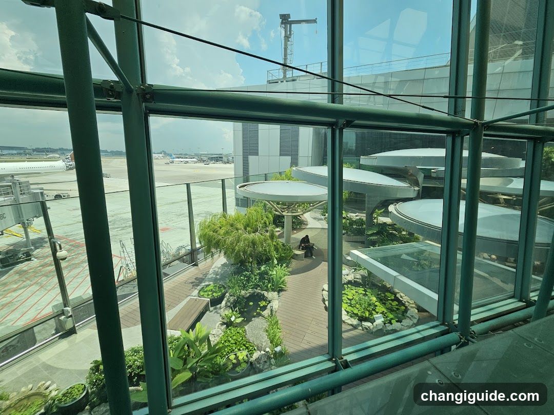 Airport Garden View