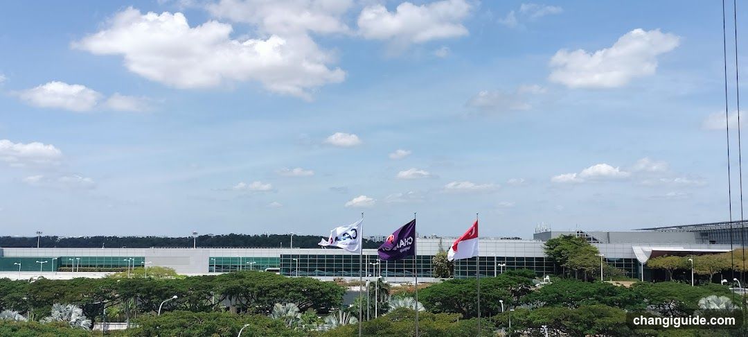 Airport Exterior with Flags