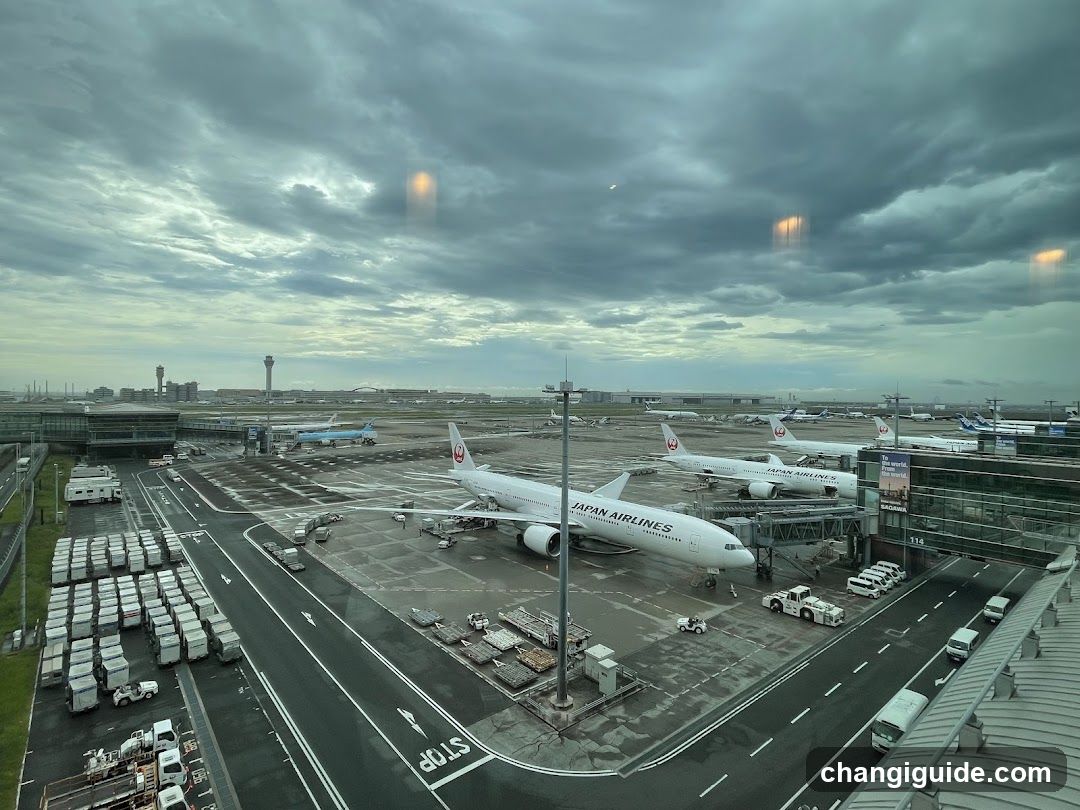 Airport Terminal View with Japan Airlines Planes