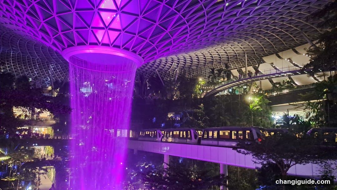 Singapore Garden at Night