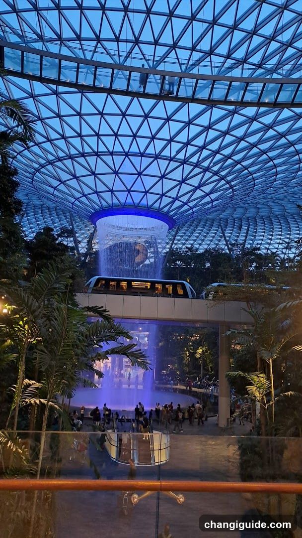 Supertree Grove at Gardens by the Bay