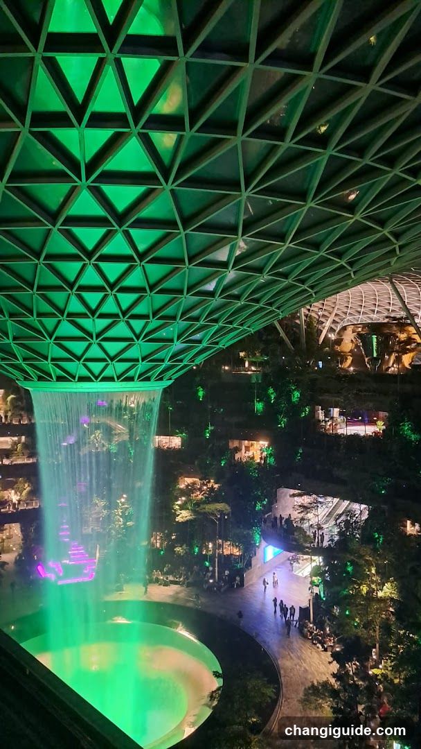 Singapore Garden at Night
