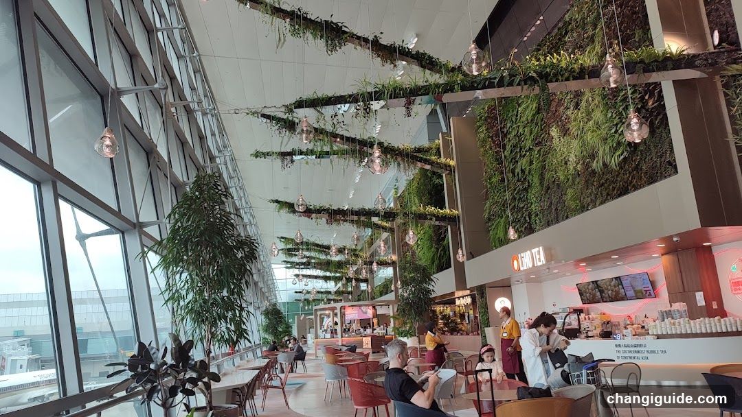 Airport Lounge Interior with Greenery and Food Counter