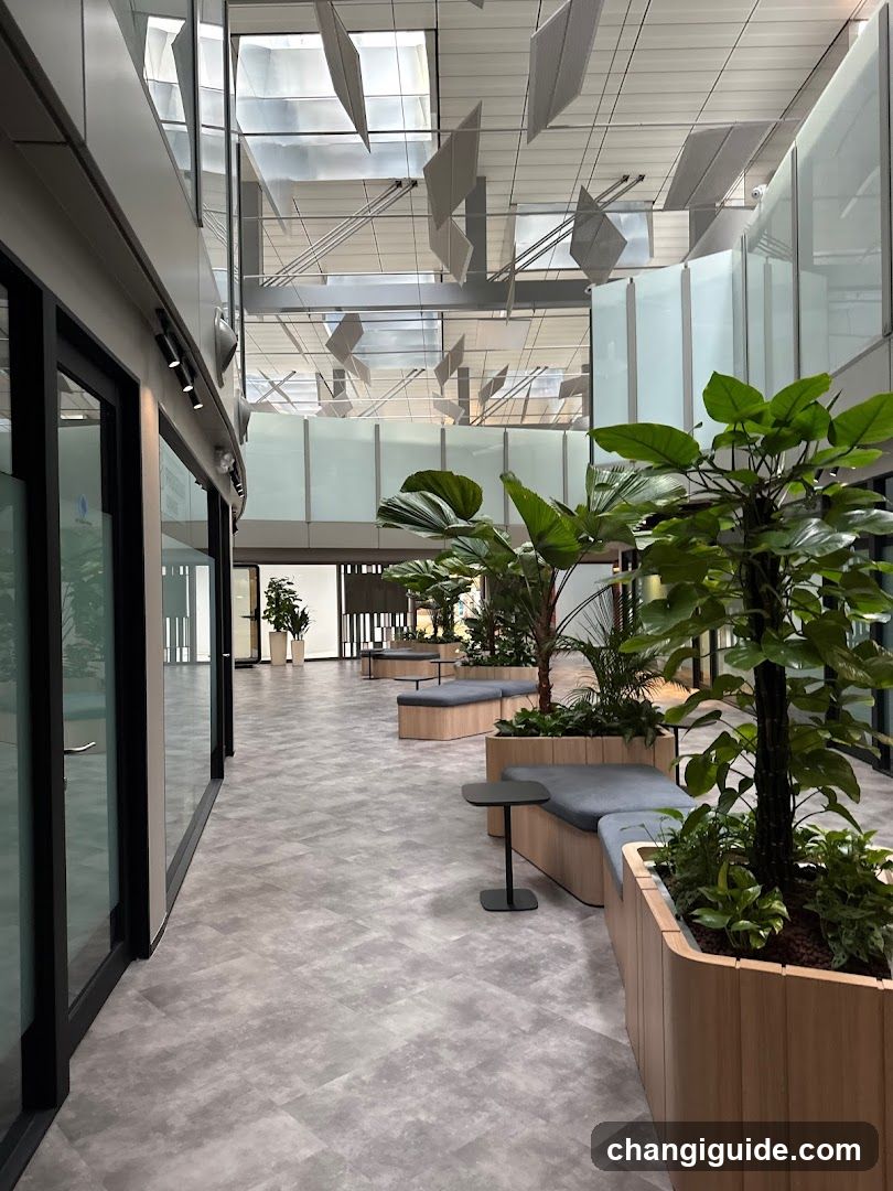 Modern Interior Courtyard