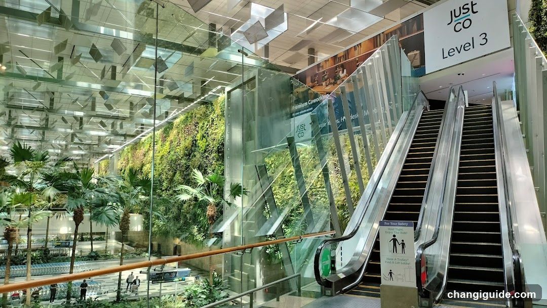 Shopping Center Interior with Escalator and Green Wall