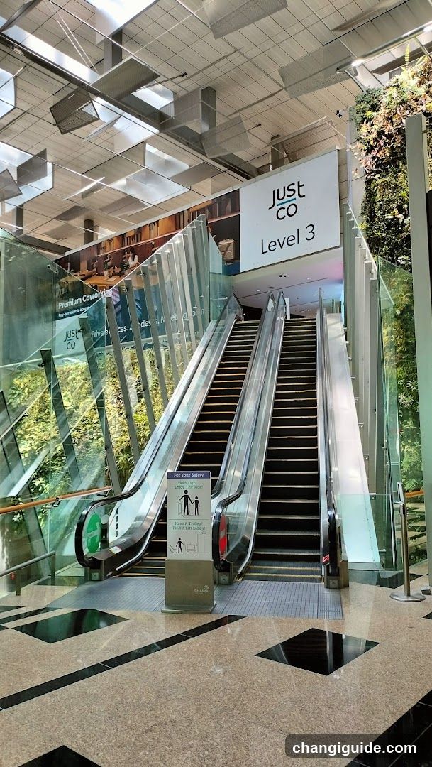 Escalator to Just CO Level 3