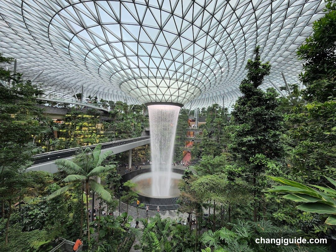 Shangri-La's Singapore - The Forest