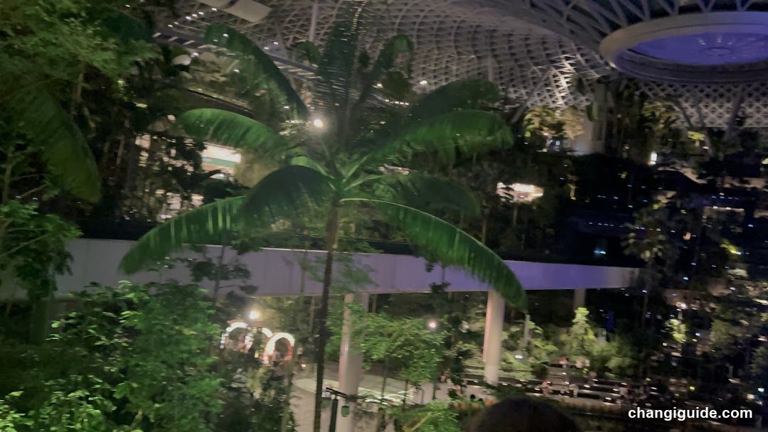Indoor Tropical Garden at Night