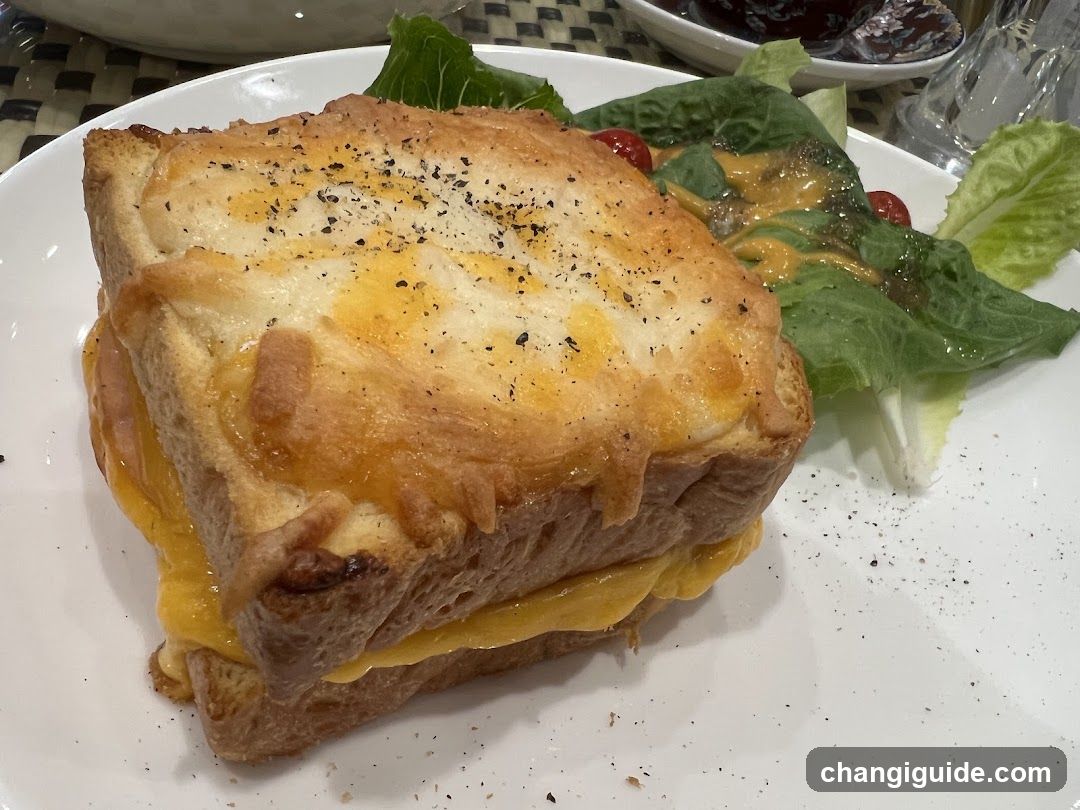 Grilled Cheese Sandwich with Salad