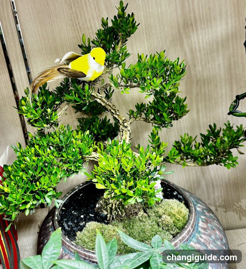 Bonsai Tree with Yellow Bird Ornament