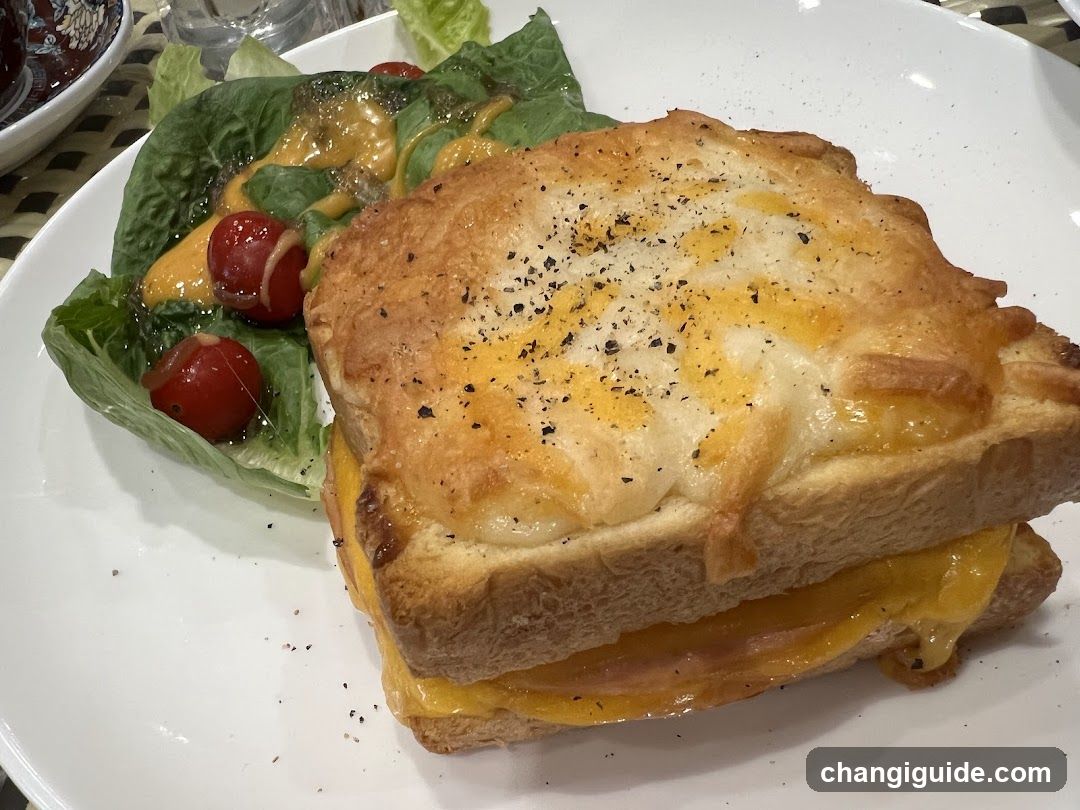 Grilled Cheese Sandwich with Salad