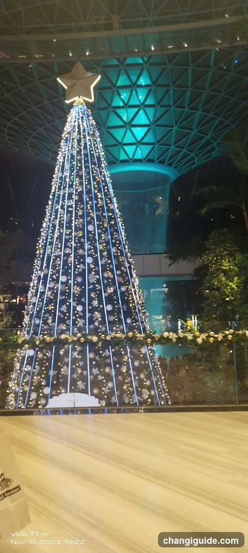 Christmas Tree Display at Night