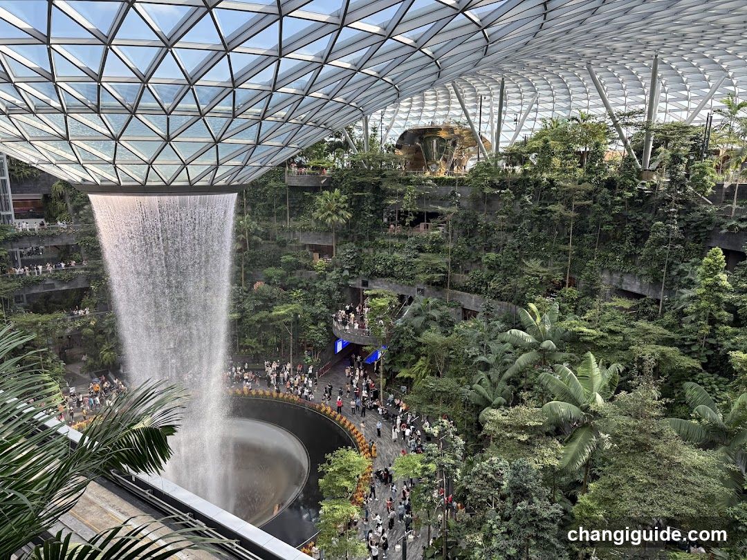Indoor Waterfall and Greenery