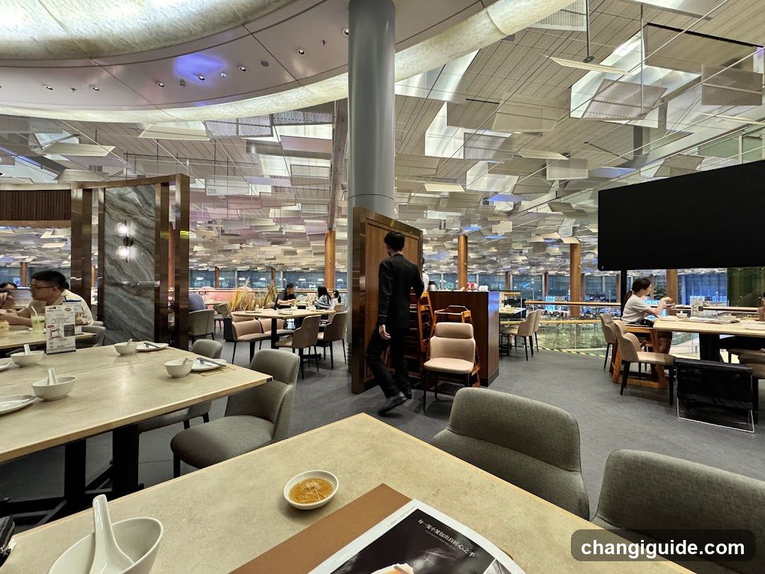 Modern Restaurant Interior with Hanging Lights