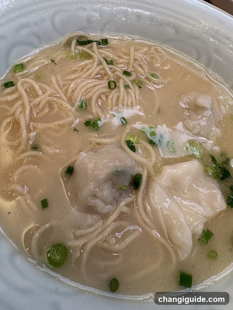 Wonton Noodle Soup Bowl