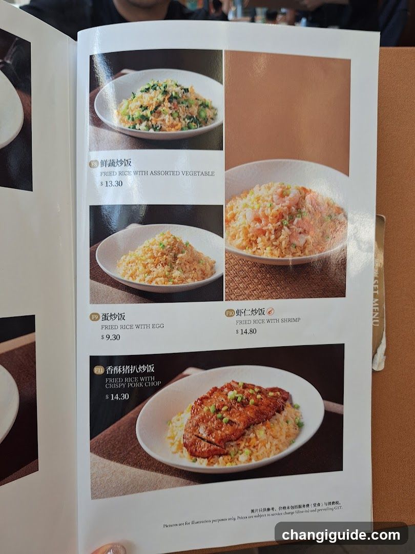 Fried Rice Menu Page
