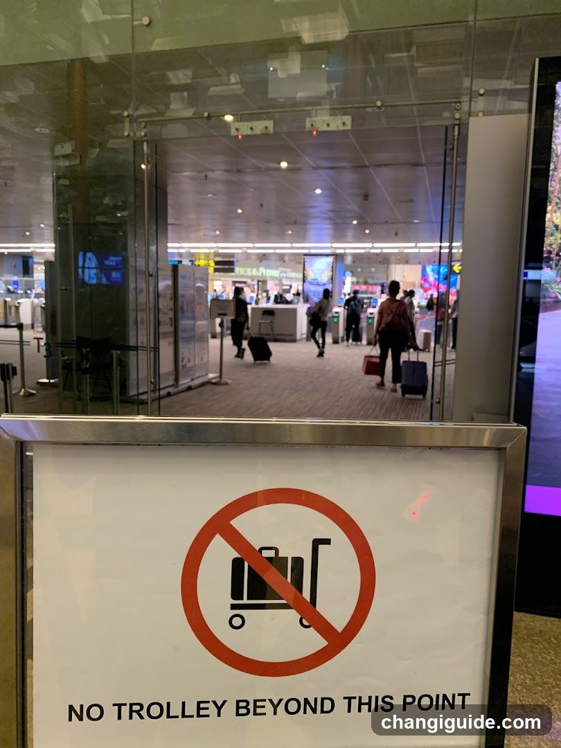 Airport Security Checkpoint Area