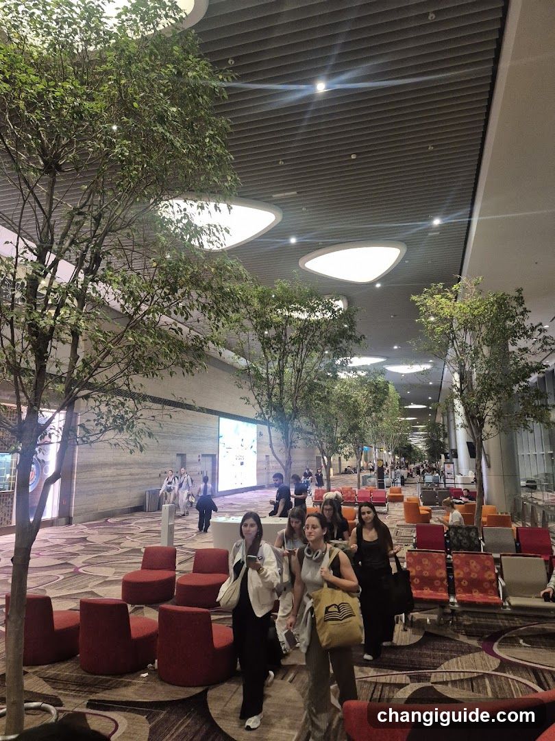 Airport Terminal Interior