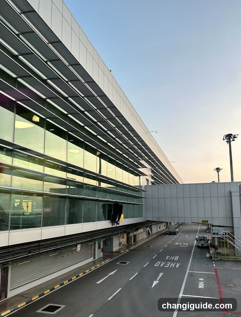 Airport Terminal Exterior View