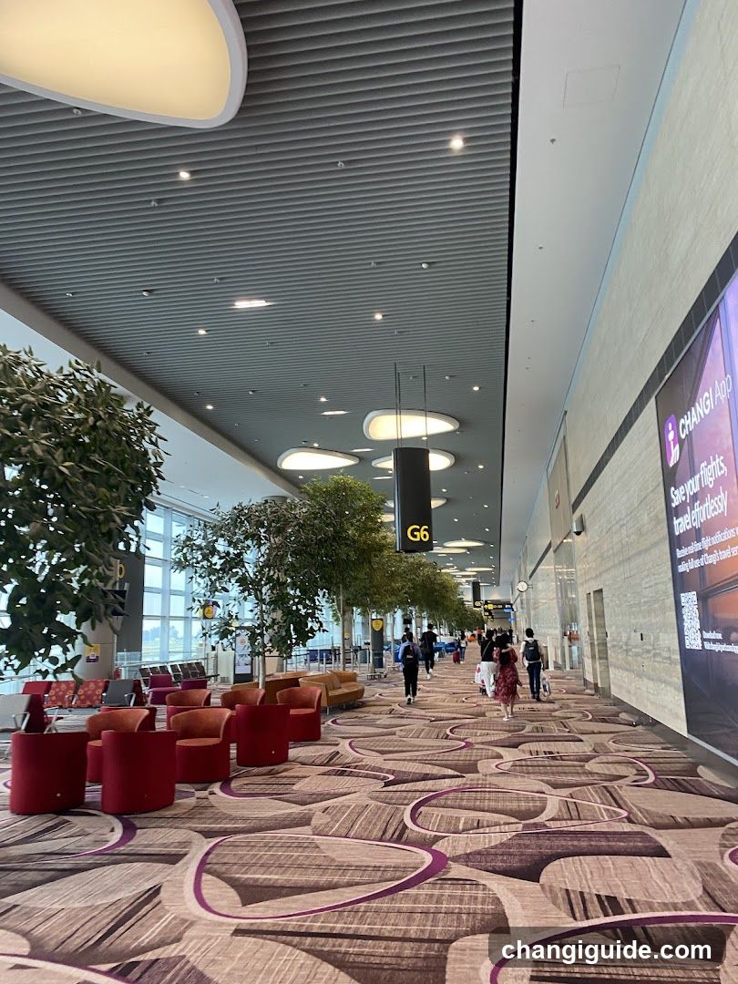 Airport Terminal Interior