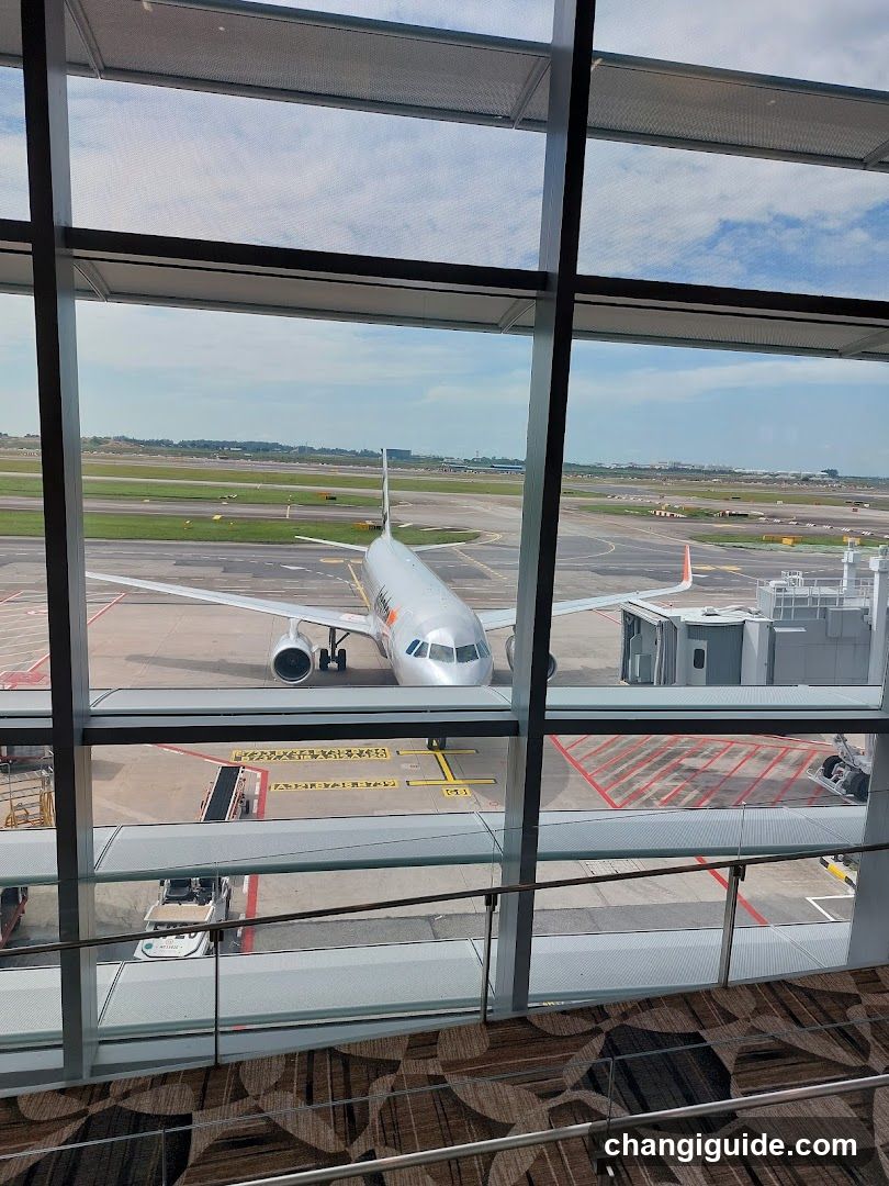 Airport Terminal View