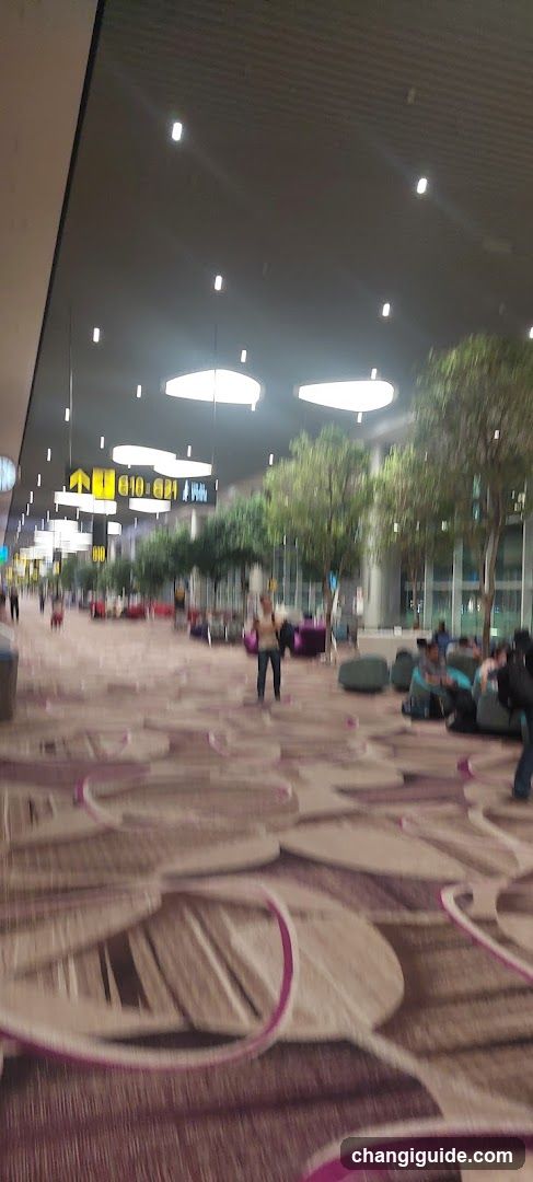 Airport Terminal Interior