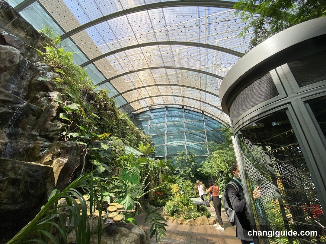 Indoor Garden View