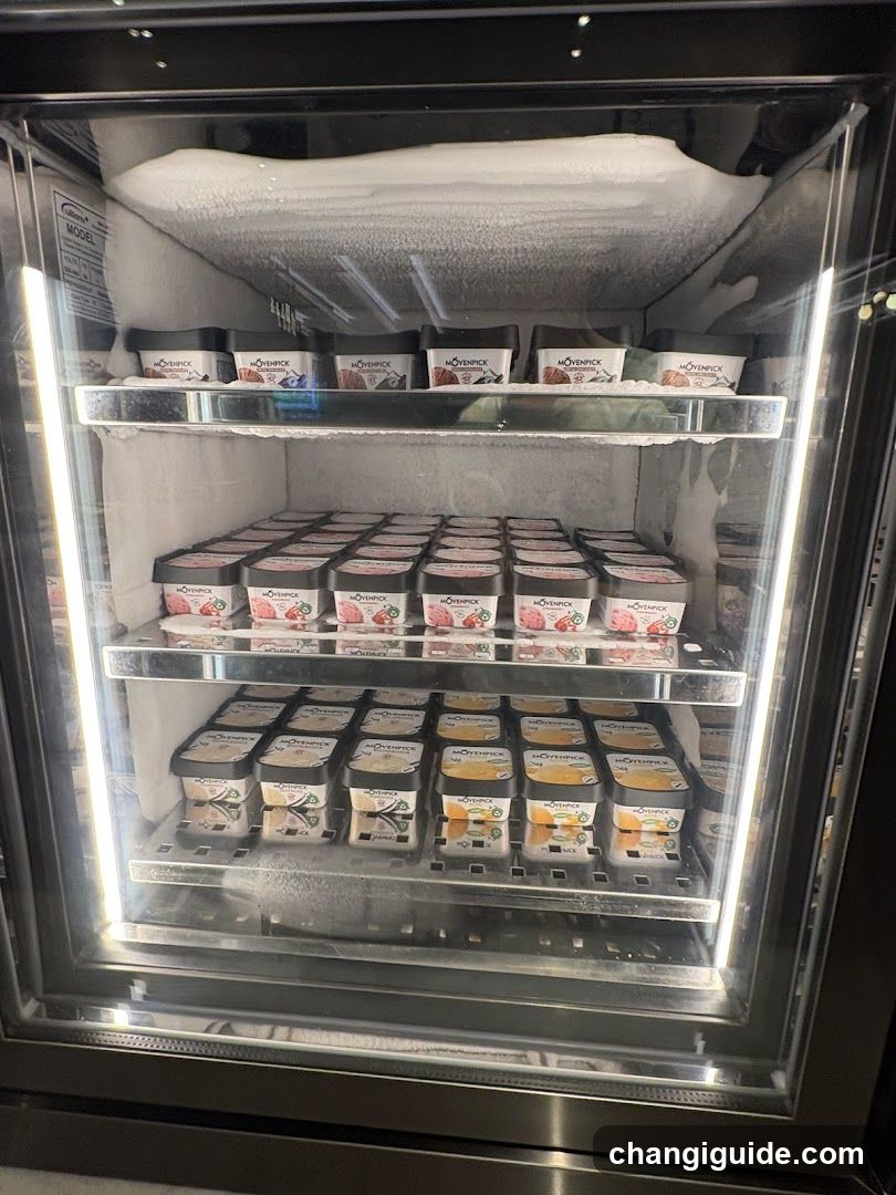 Frozen Dessert Display Case