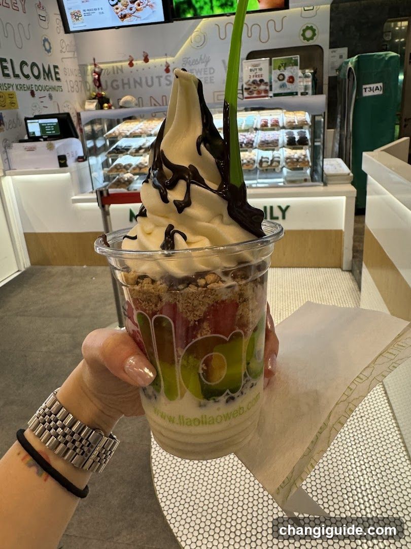 Frozen Yogurt Dessert with Chocolate Drizzle