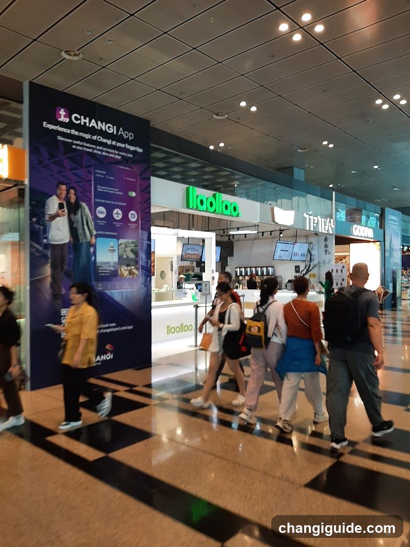 Changi Airport Terminal Interior