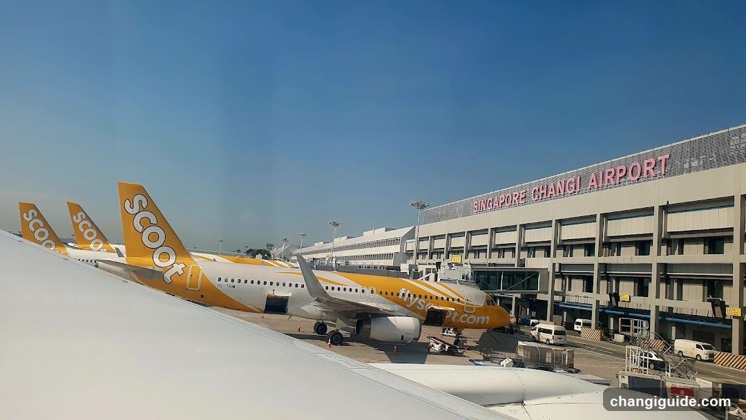Singapore Changi Airport Scoot Planes