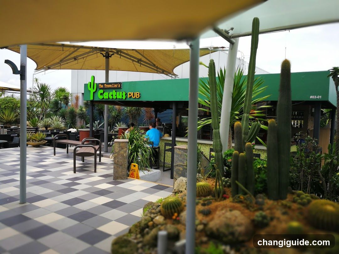 Cactus Garden