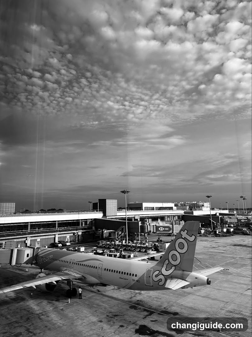 Airport Terminal View with Scoot Aircraft