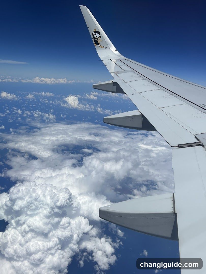 Aircraft Wing View from Above Clouds