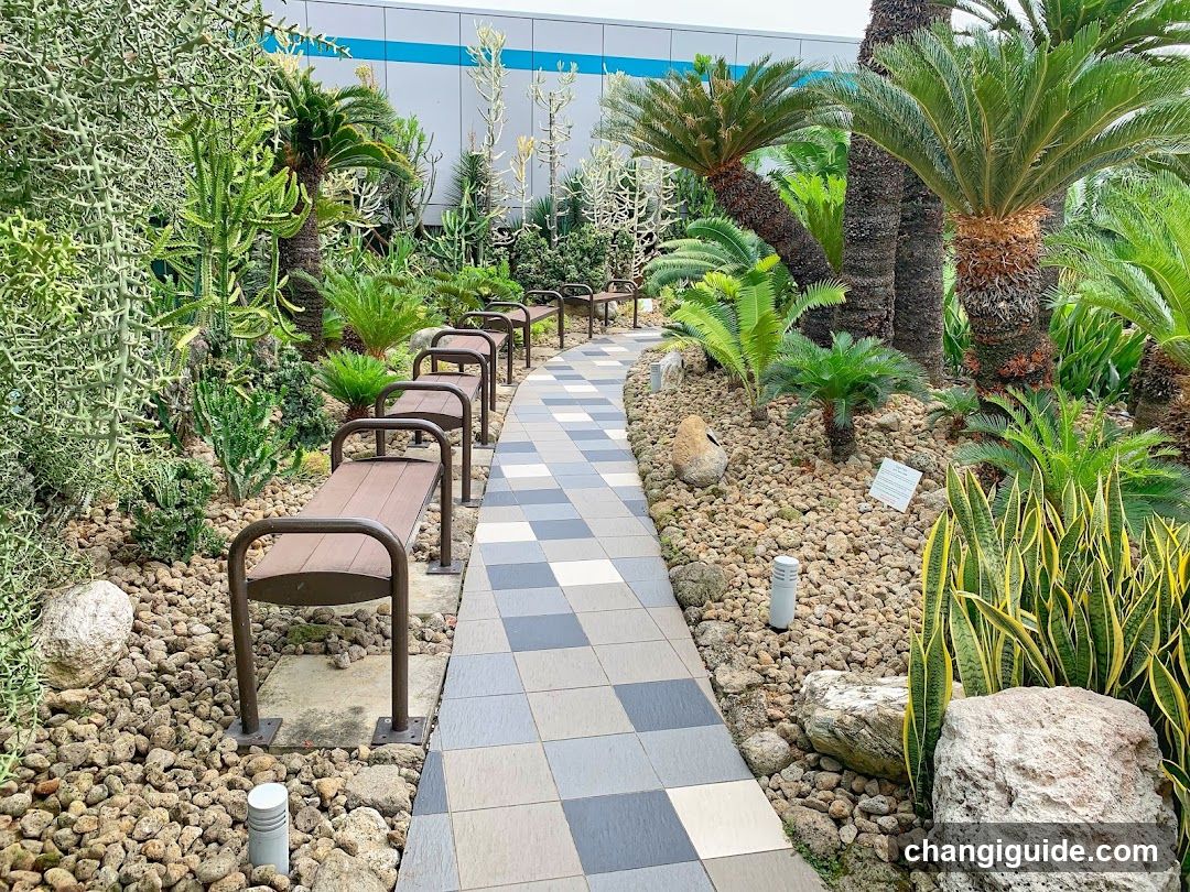 Garden Path with Benches and Plants
