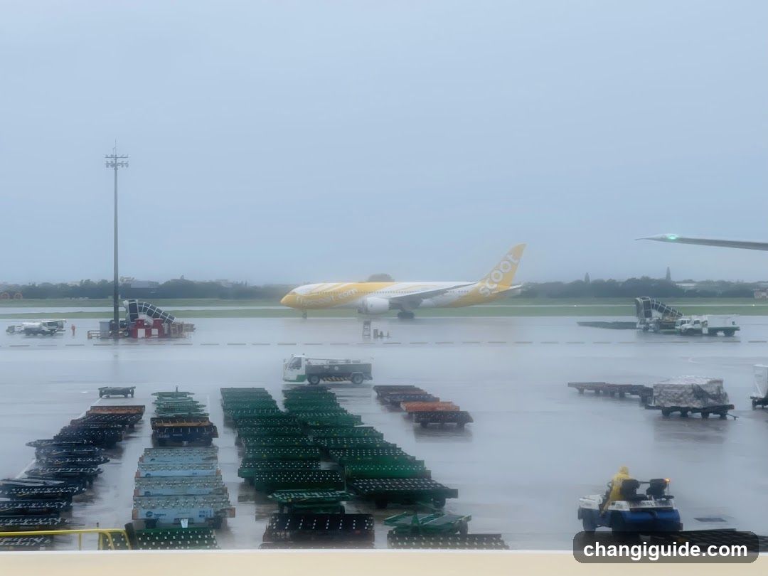Airport Tarmac with Scoot Aircraft