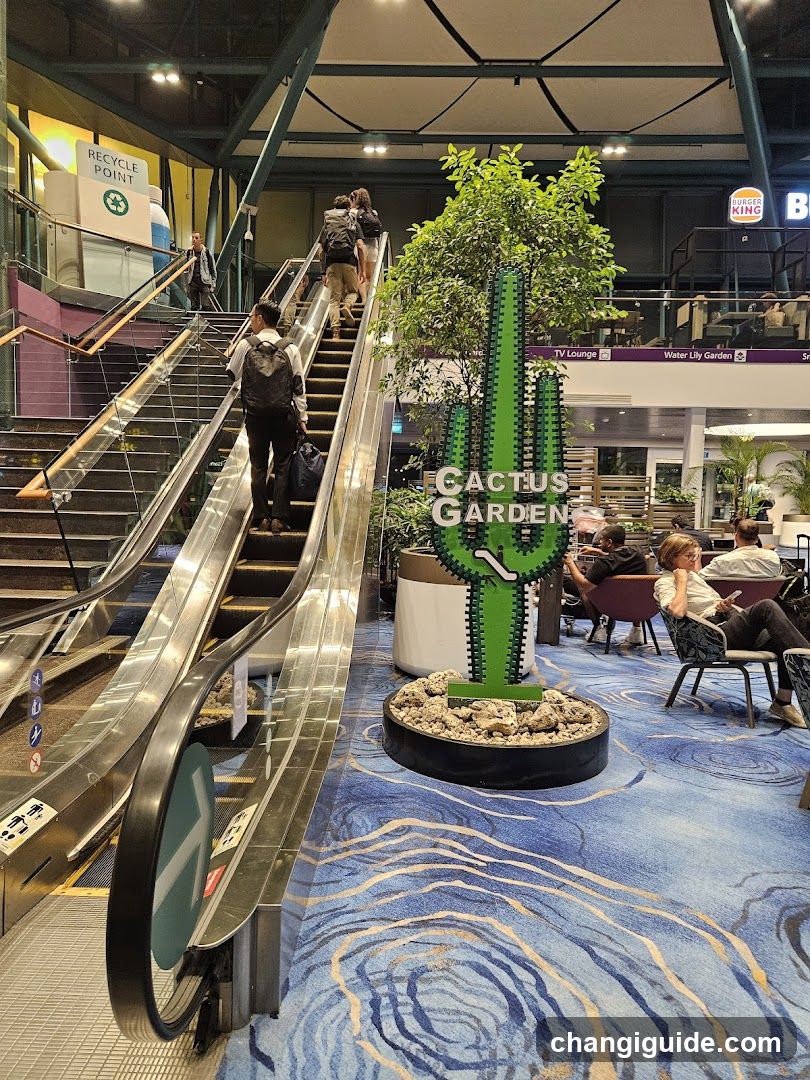 Cactus Garden Interior Scene