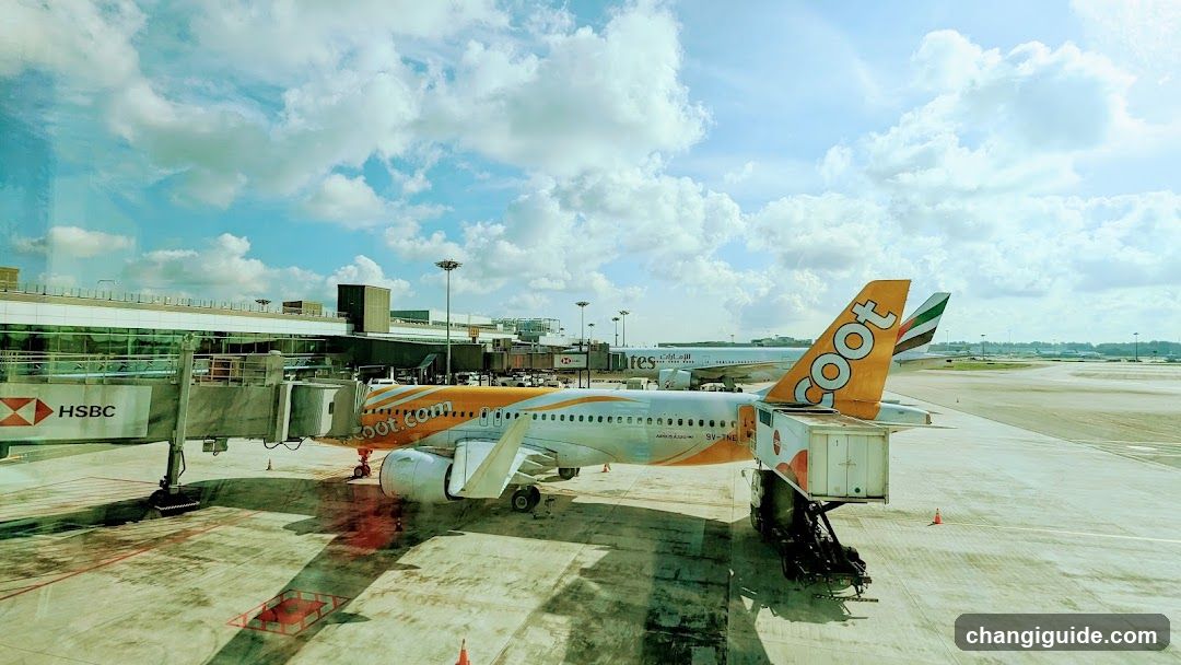 Airport Tarmac with Coot Airlines Plane