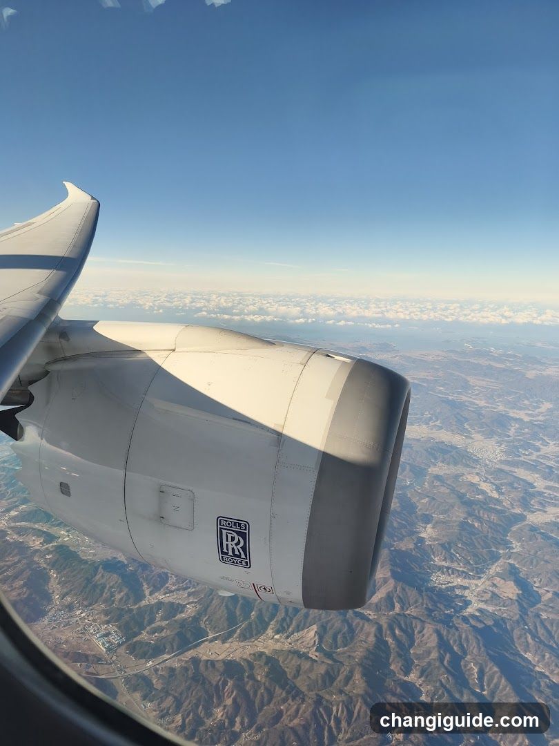 Aircraft Engine View from Window